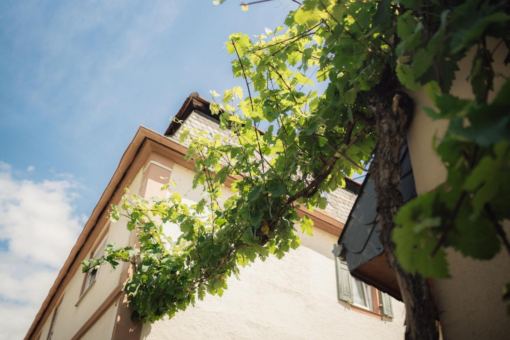 Monzingen Weingut Und Gaestehaus Holger Alt מראה חיצוני תמונה